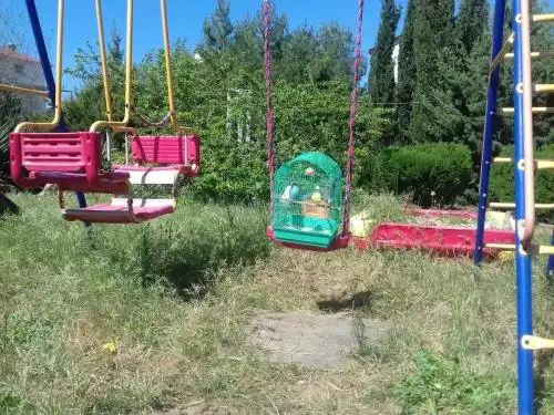 Розмарин - 41