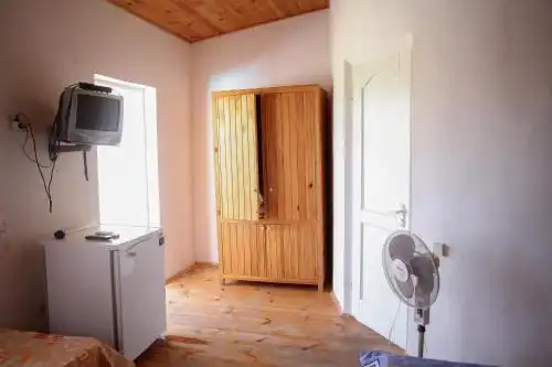 Розмарин - 53