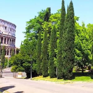 Miclad Colosseum Guest House - 34