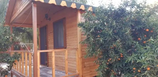 Secret Garden & Bungalows - 5