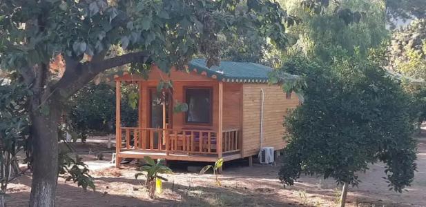 Secret Garden & Bungalows - 1