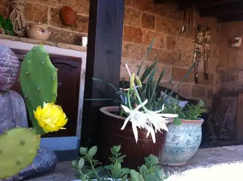 La Dimora dell'Inglese - 26