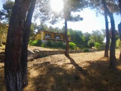 Rainbow Bay Ozdere Beach - 21