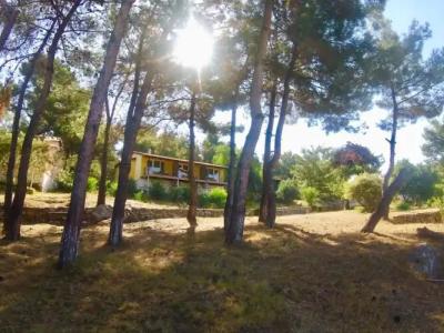 Rainbow Bay Ozdere Beach - 25
