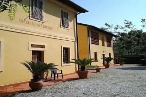 Кемпинг «Camping dei Tigli», Торре-дель-Лаго-Пуччини