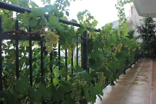 Villa Tortuga - 13