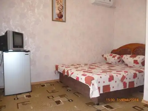 Светлана - 9