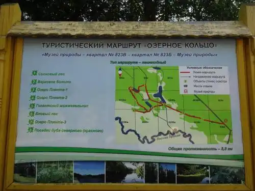 ПростоСашино - 41