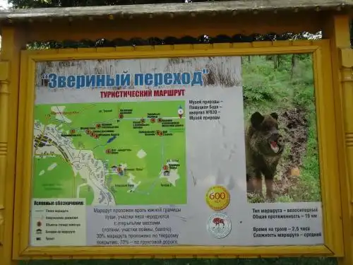 ПростоСашино - 40