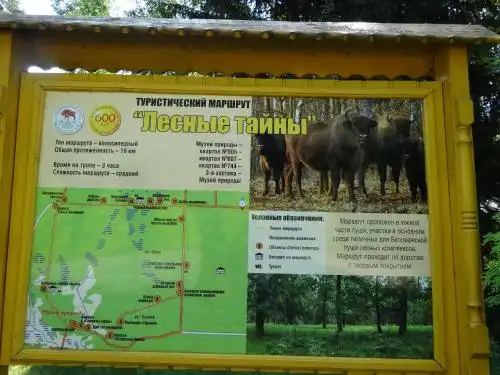 ПростоСашино - 36