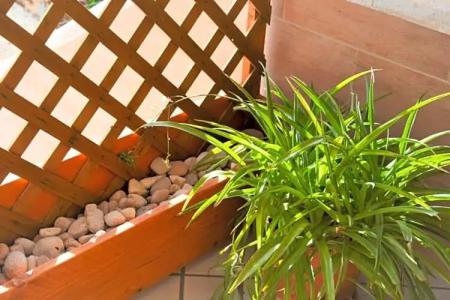 Salenterra B&B (Salento) - 25