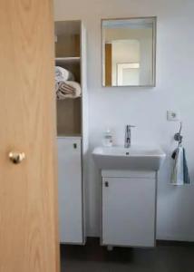 Syðra-Skörðugil - 20