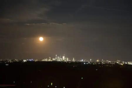 Vital Frankfurt - 37