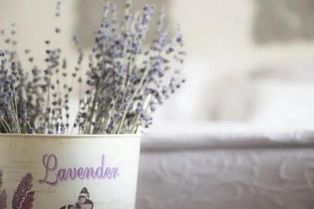 La Gastrocasa - Adults Only - 74