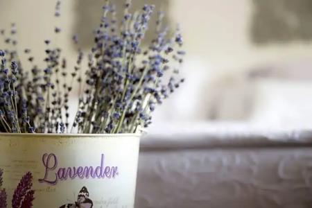 La Gastrocasa - Adults Only - 67