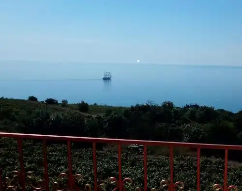 Вояж - 50