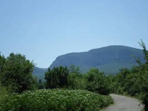 Райский уголок - 15