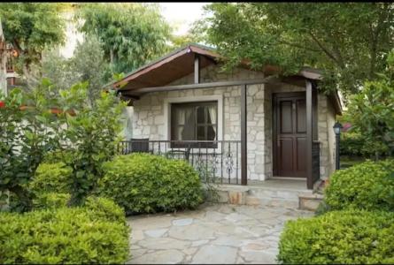 Datca Surf Tatil Koyu - 60