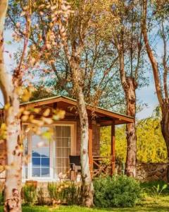 Datca Surf Tatil Koyu - 47