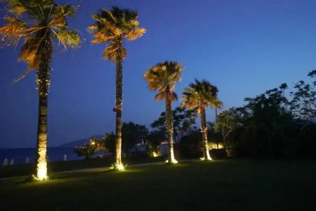 Datca Surf Tatil Koyu - 10