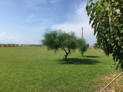 Ostria Kakovatos Beach - 11