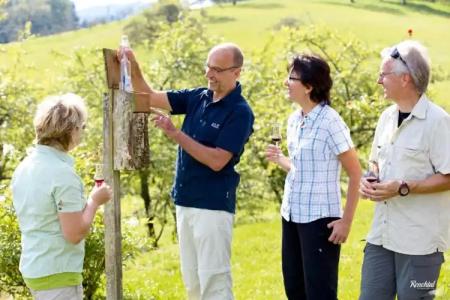 Restaurant Rebstock - 8