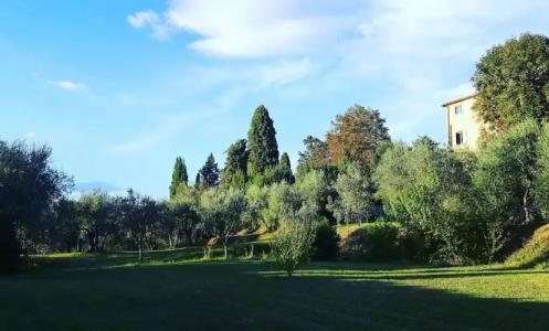 Bella di Ceciliano - 75