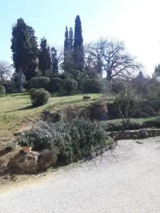 Bella di Ceciliano - 83