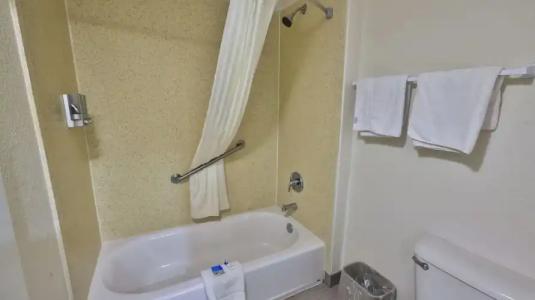 Driftwood Beach - 138