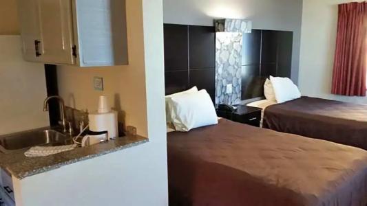 Driftwood Beach - 75