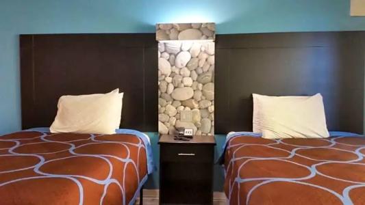 Driftwood Beach - 29