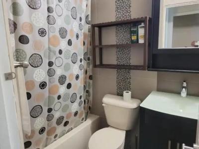 Driftwood Beach - 175