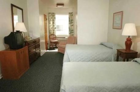 Driftwood Beach - 23