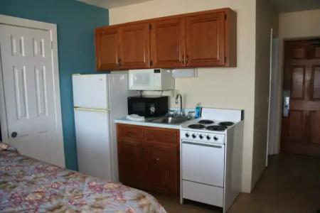 Driftwood Beach - 21