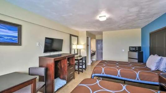 Driftwood Beach - 105