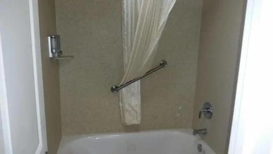 Driftwood Beach - 67