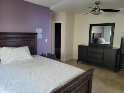 Driftwood Beach - 174