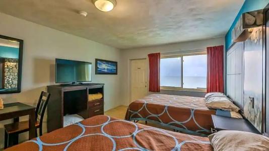 Driftwood Beach - 103