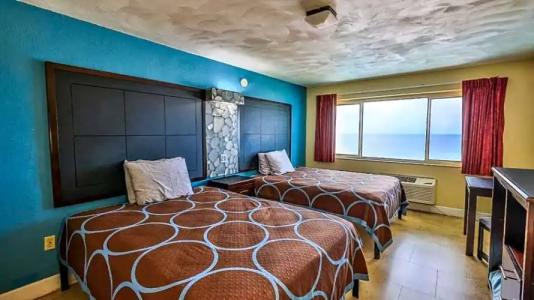 Driftwood Beach - 33