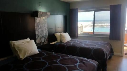 Driftwood Beach - 119