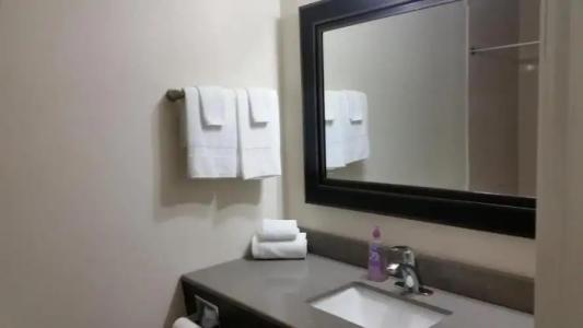 Driftwood Beach - 212