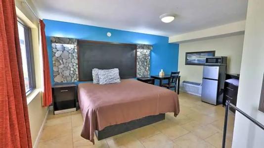 Driftwood Beach - 34