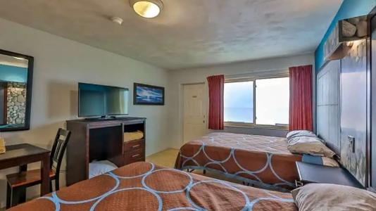 Driftwood Beach - 110