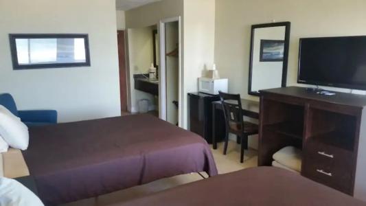 Driftwood Beach - 135