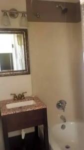 Driftwood Beach - 30