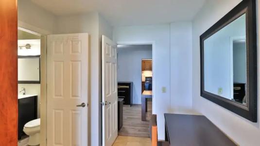 Driftwood Beach - 196