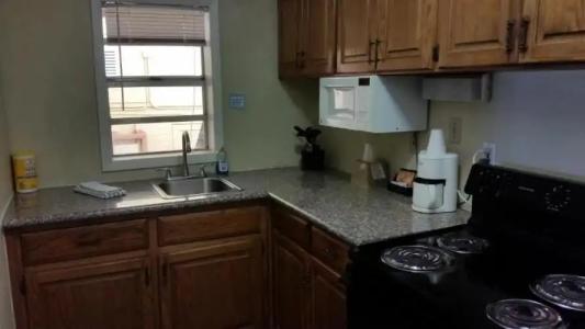 Driftwood Beach - 185