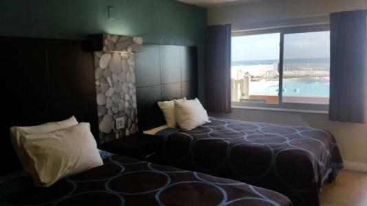 Driftwood Beach - 149