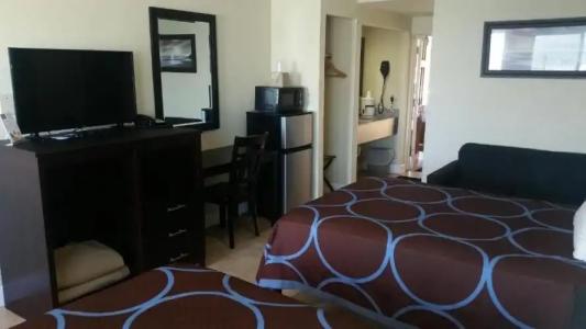 Driftwood Beach - 118