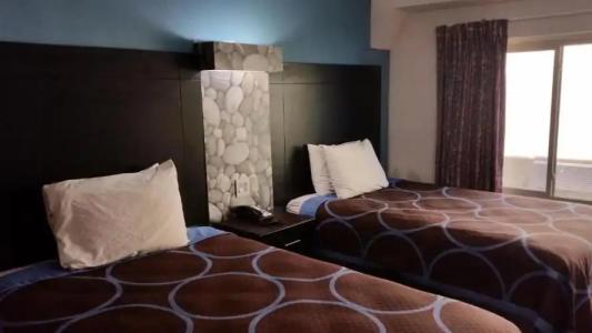 Driftwood Beach - 214